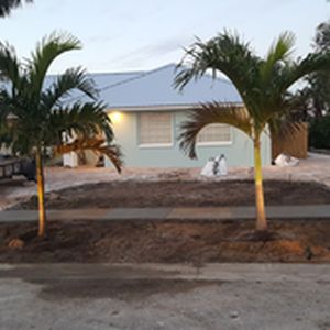 Horseshoe paver driveway installed and new palms