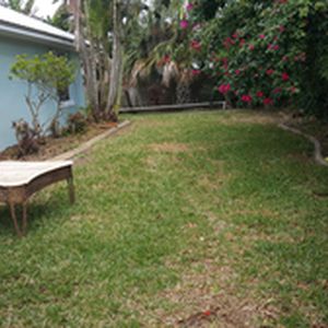 Side yard before