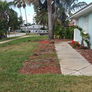 Removal of old landscaping